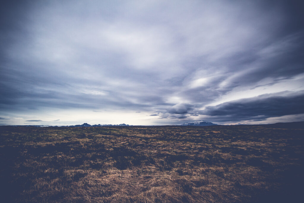 ランクル300系 納期【2025年最新】なぜ4年待ち？理由と短縮の裏ワザ