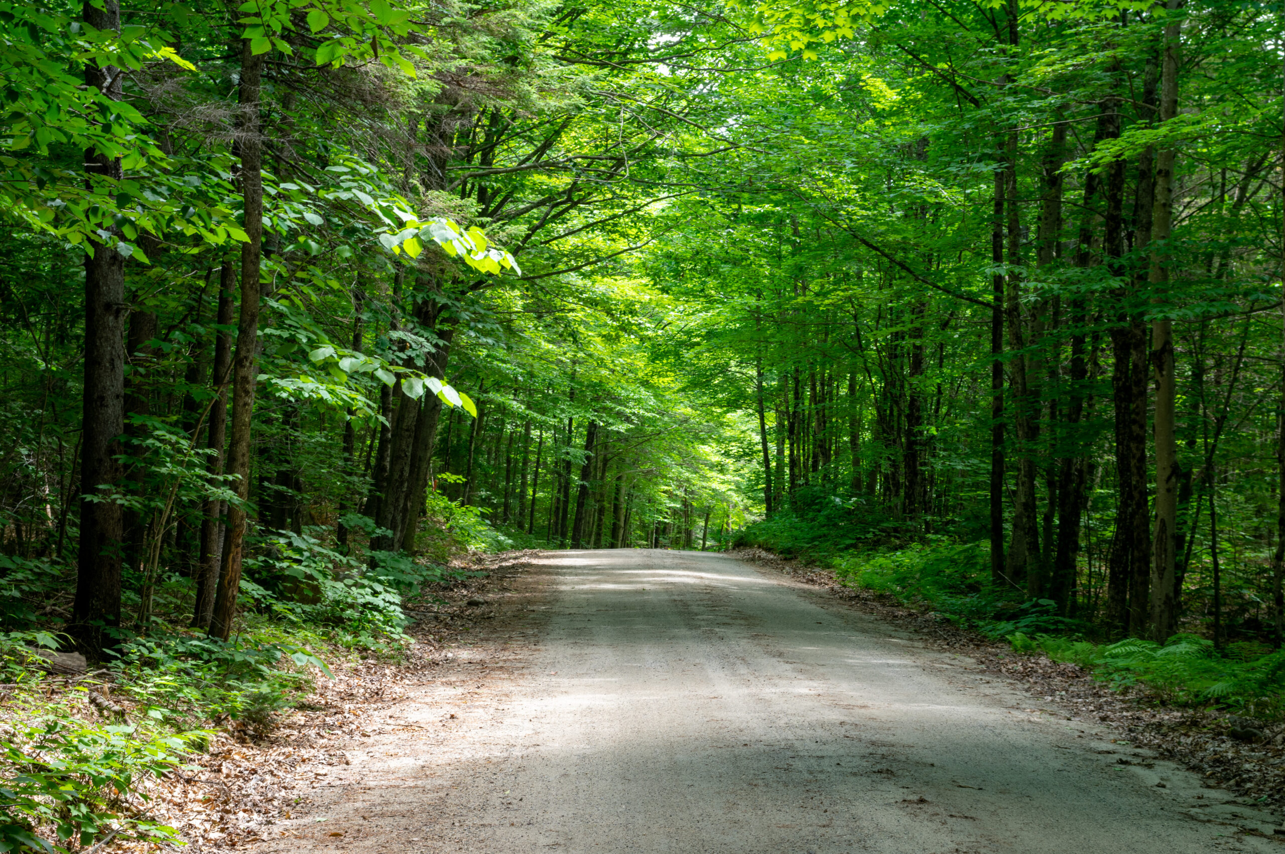 ランクル300系 盗難対策【完全ガイド】最新手口(CANインベーダー)と最強の防御策