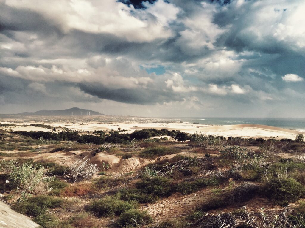 ランクル300系【実燃費】オーナーが計測：ガソリン/ディーゼルのリッター何キロ？