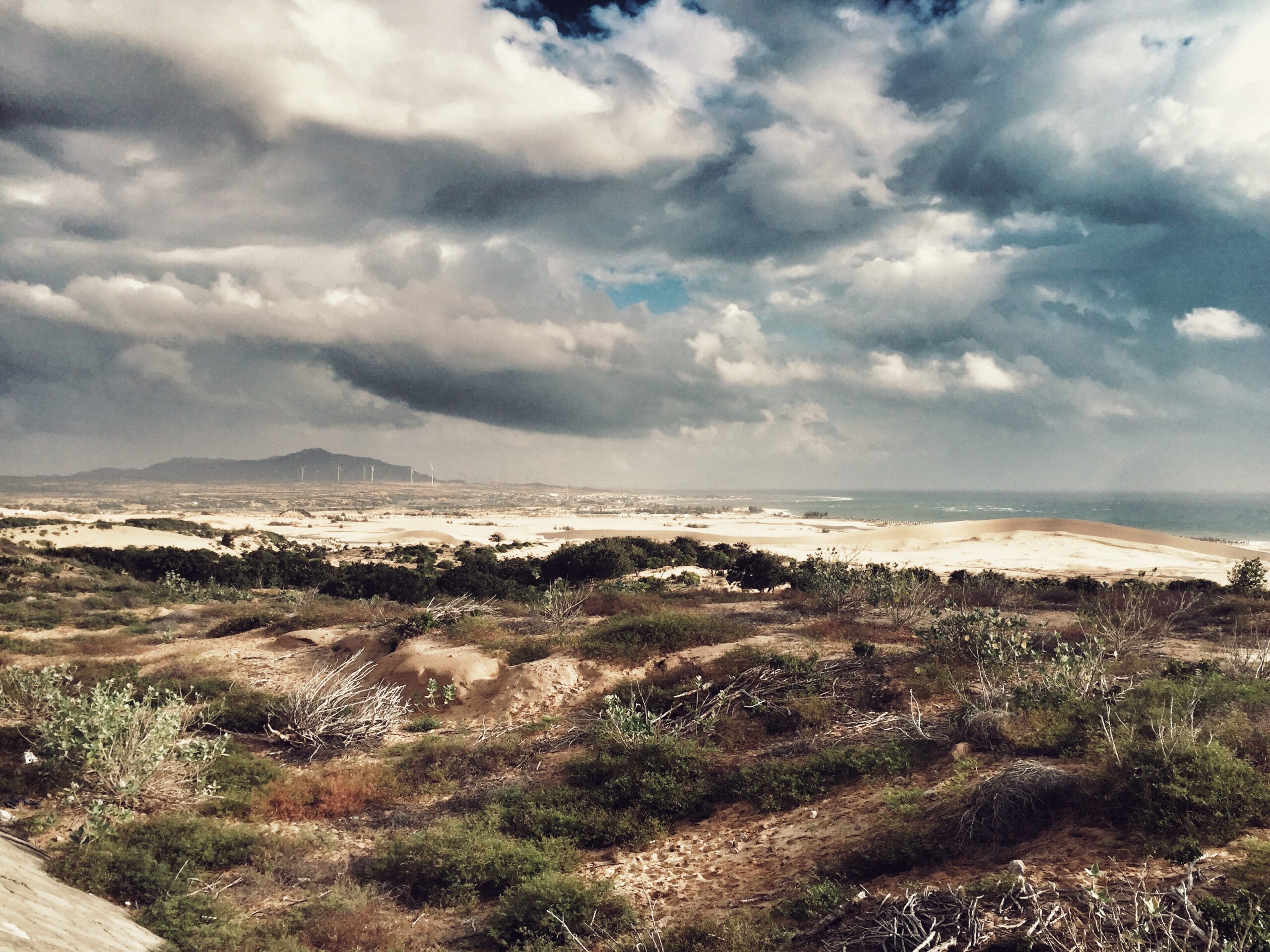 ランクル300系【実燃費】オーナーが計測：ガソリン/ディーゼルのリッター何キロ？