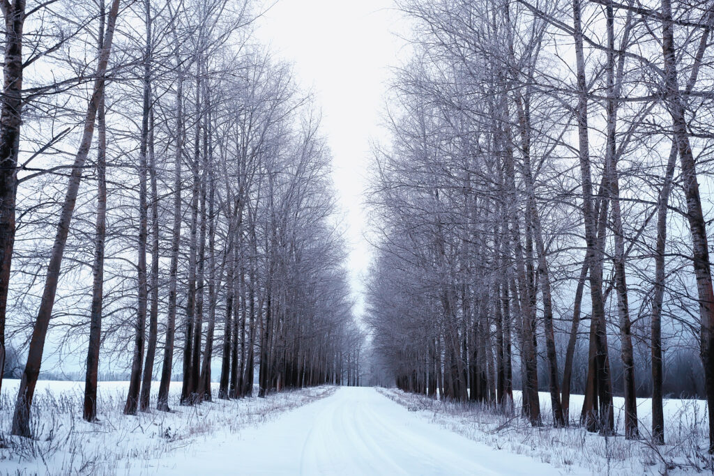 ランクル250価格の真実！乗り出し総額とZX/VXの残酷な格差