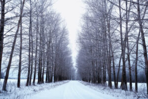 ランクル250価格の真実！乗り出し総額とZX/VXの残酷な格差