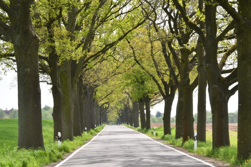 ランクル200系 vs 300系 徹底比較：乗り換える価値はあるか？維持費と性能の差