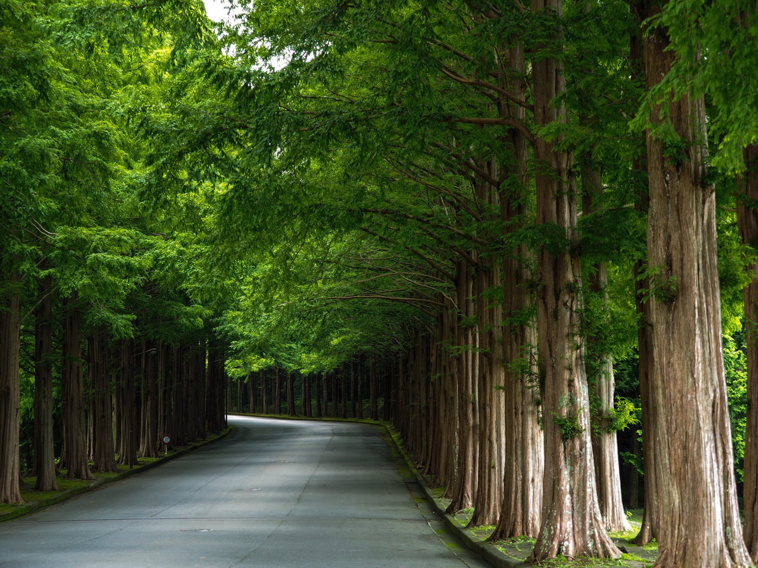 ランドクルーザー【歴代モデル完全ガイド】全シリーズ（300系〜40系）徹底比較と選び方