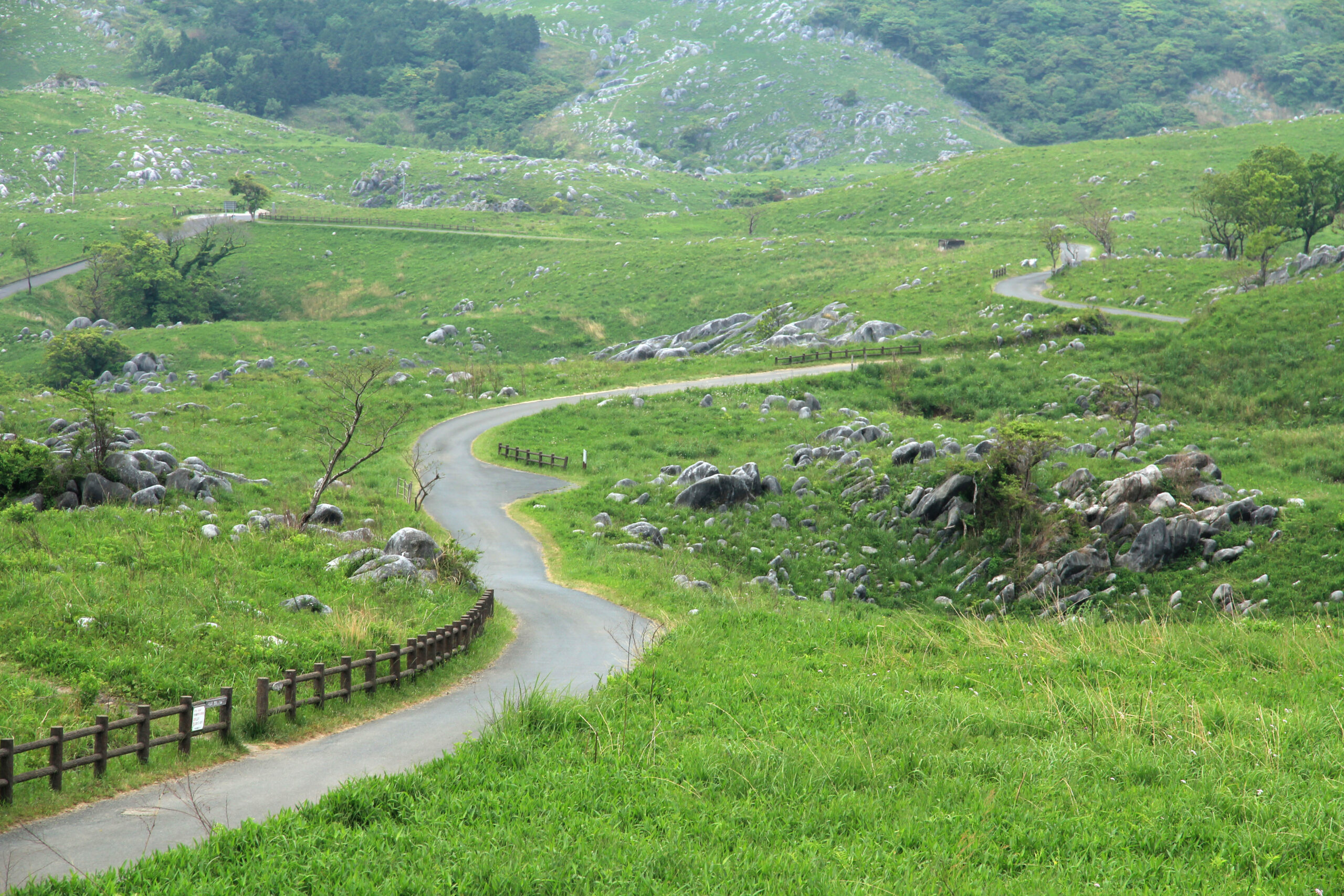 ランクル300系【サイズ感】駐車場は入る？最小回転半径と運転のしやすさレビュー