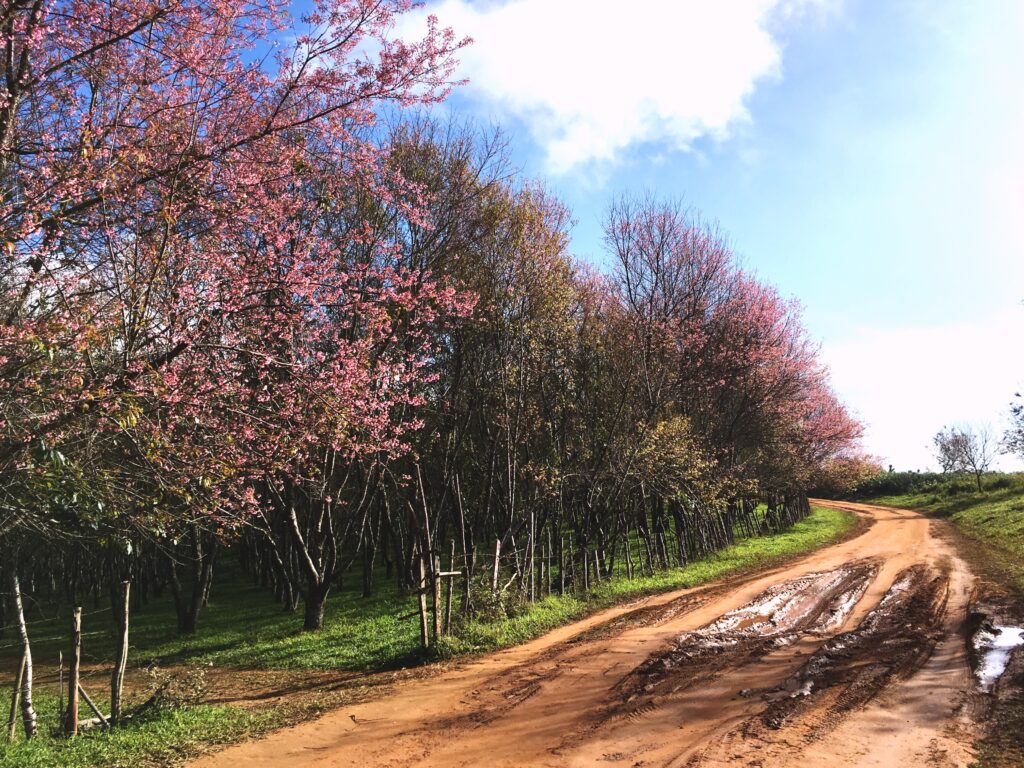 ランクル200系【弱点・故障事例】KDSSの異音？エアサスは？修理費用まとめ