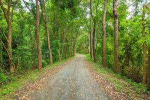 ランクル300系【ディーゼル】アドブルー（AdBlue）の補充頻度と費用は？