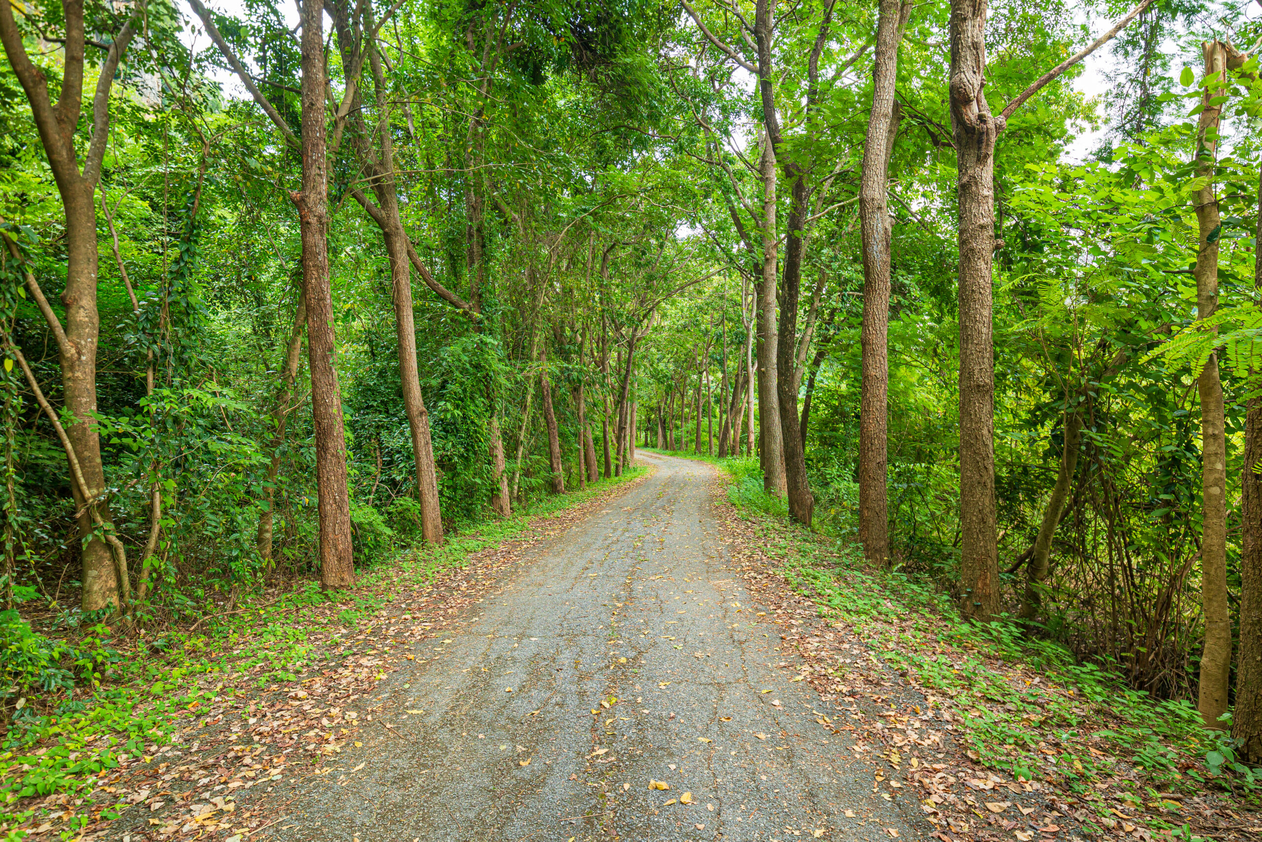 ランクル300系【ディーゼル】アドブルー(AdBlue)の補充頻度と費用は?