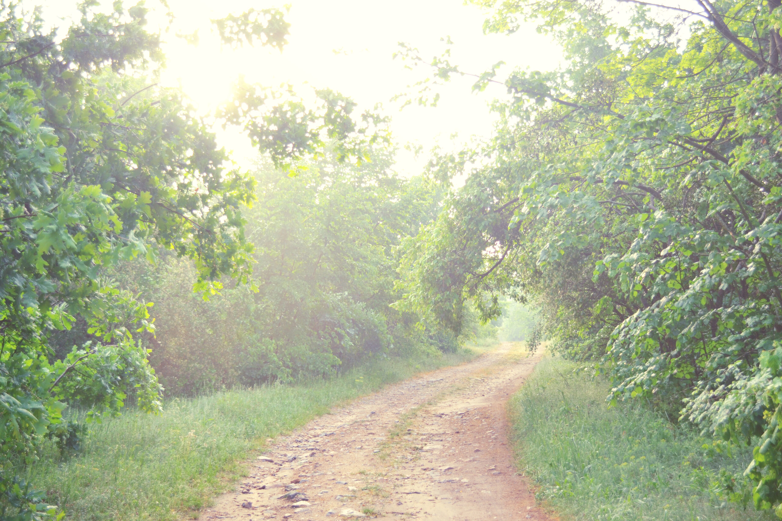 ランクル200系後期仕様の費用と罠！20万で現行顔へ
