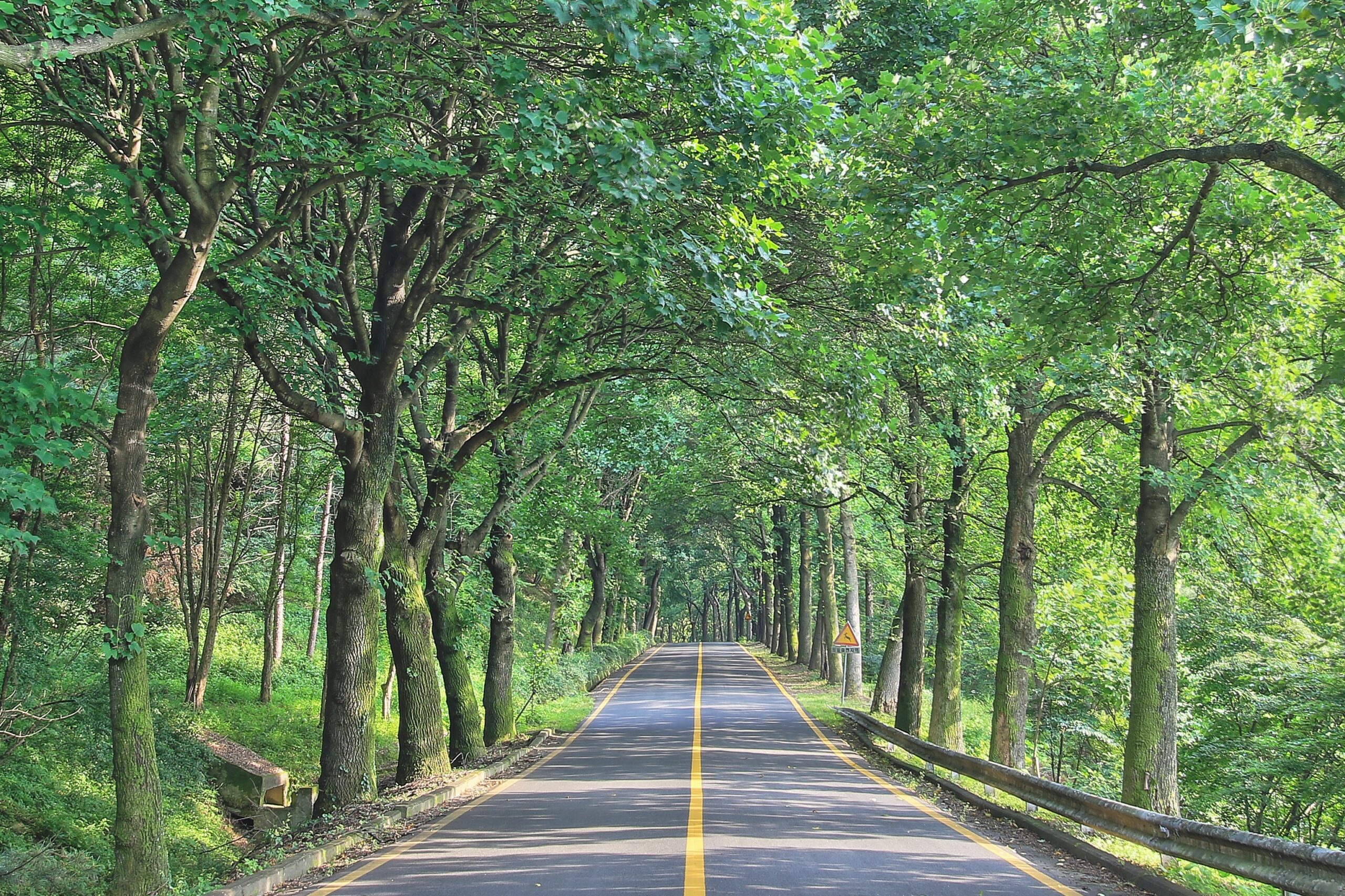 ランクル300系【内装徹底レビュー】質感は？収納は？オーナーが辛口評価