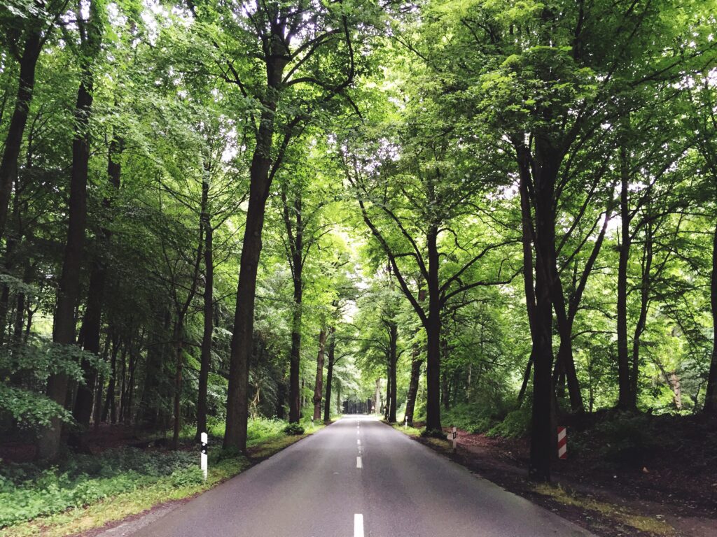 ランクル300系 モデリスタ vs GRパーツ：カスタムするならどっち？費用と見た目を比較