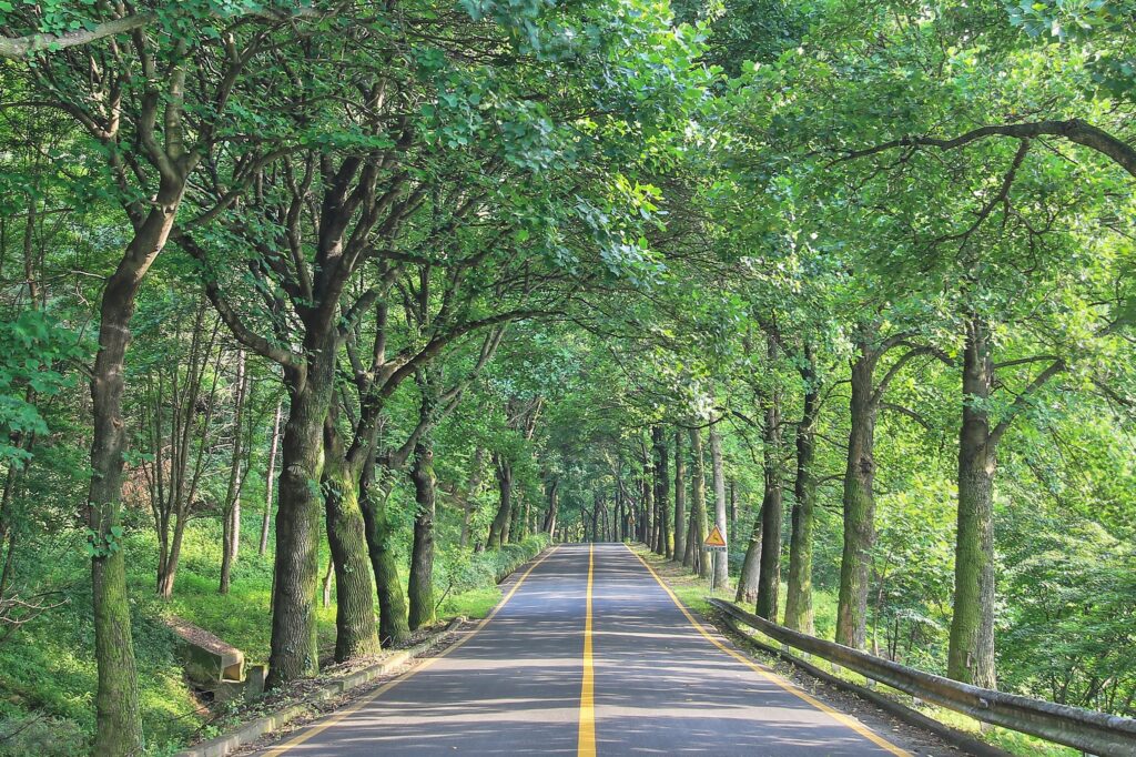 ランクル300系 E-KDSSとは？GRスポーツ専用機能の効果と仕組みを解説