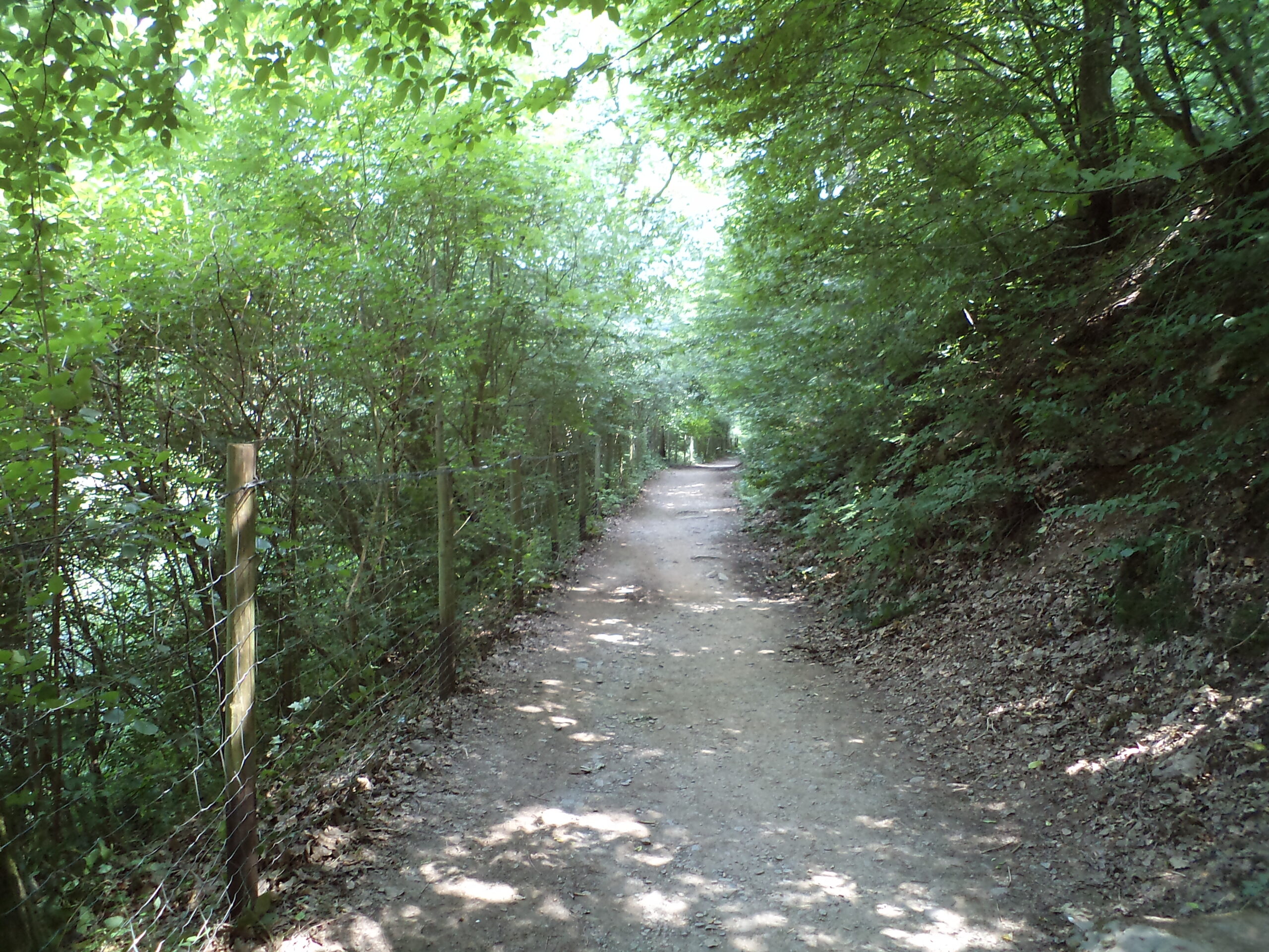 ランクル300系【試乗レポート】ディーゼルの加速感と街乗りでの乗り心地を徹底評価