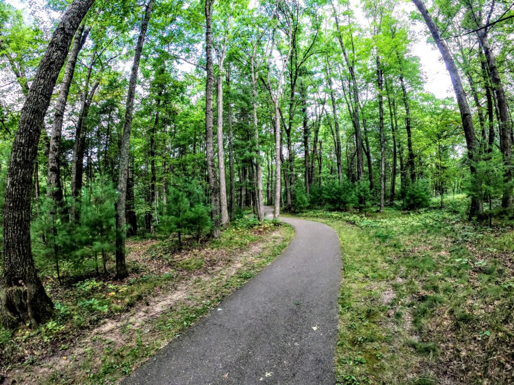 ランクル300系 ディーゼル（FJA300W）の加速とパワー感をガソリン（VJA300W）と比較