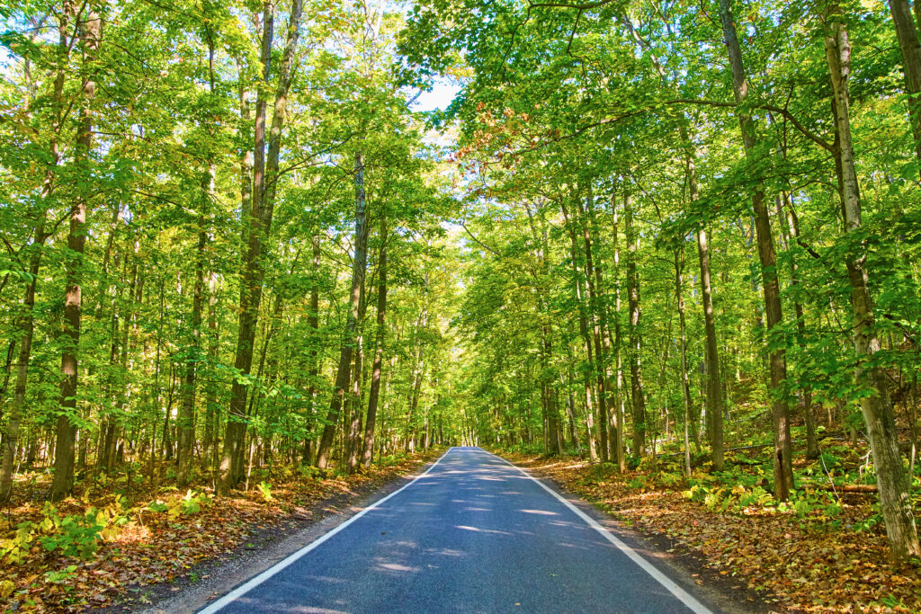 ランクル300系 燃費【ガソリン vs ディーゼル】年間コストはいくら違う？