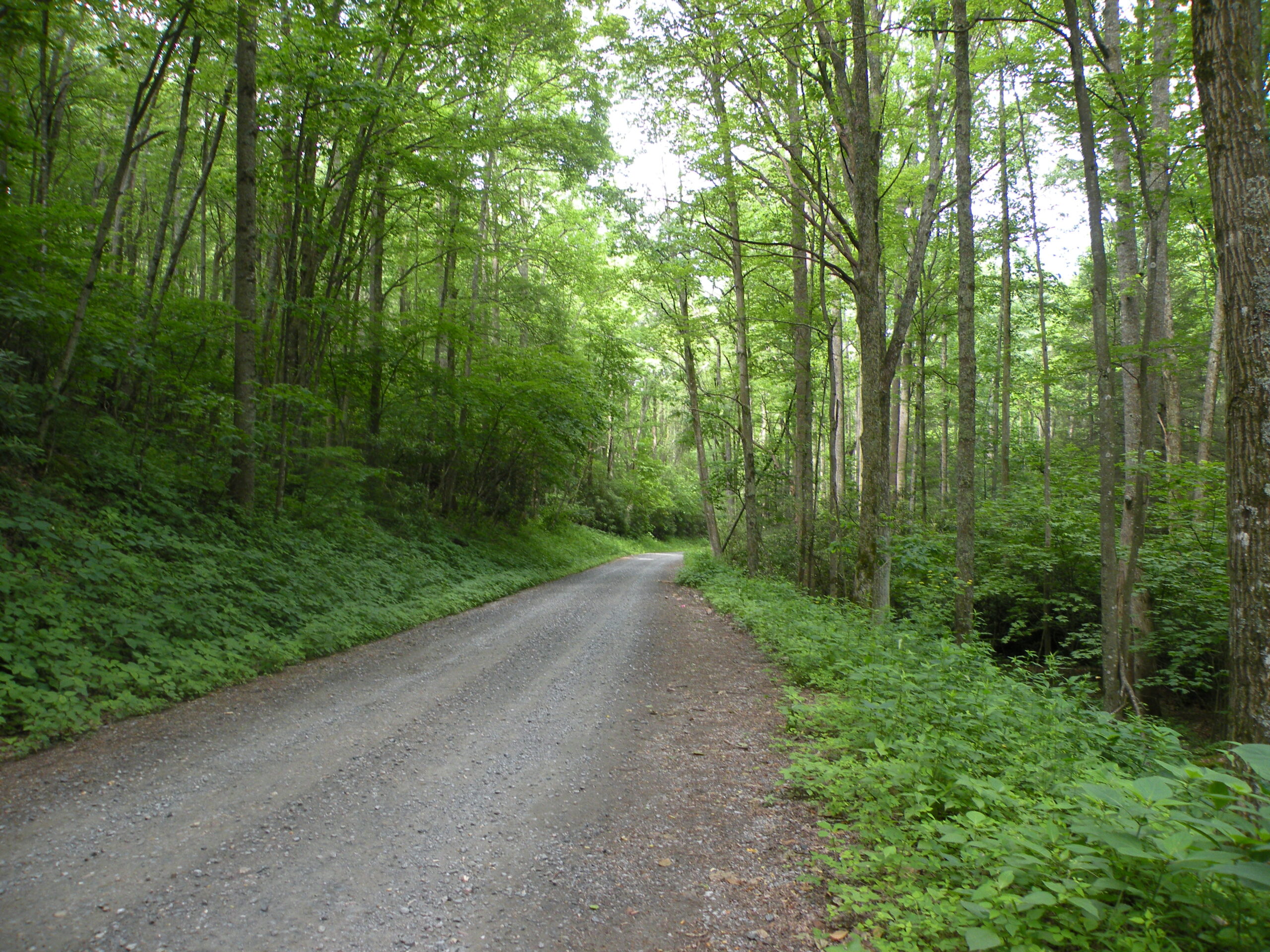 ランクル300系 買取価格(リセール)速報:1年落ち・3年落ちの驚愕の相場