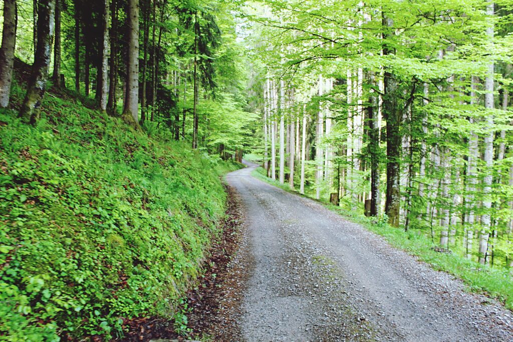 ランクル300系 指紋認証スタートスイッチとは？使い方とメリット・デメリット