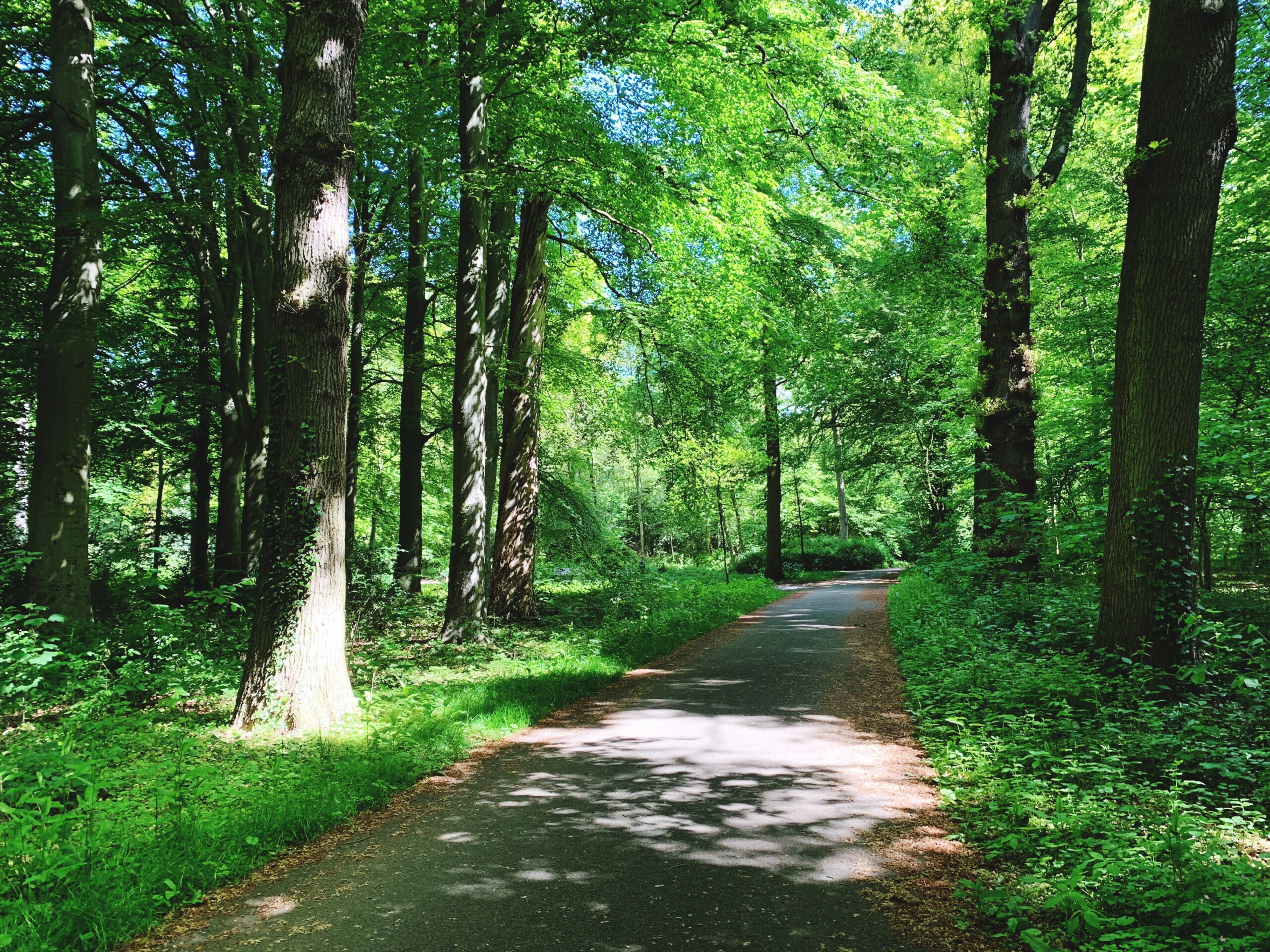 ランクル200系 故障【オーナー必見】壊れやすい箇所7選と修理費用まとめ