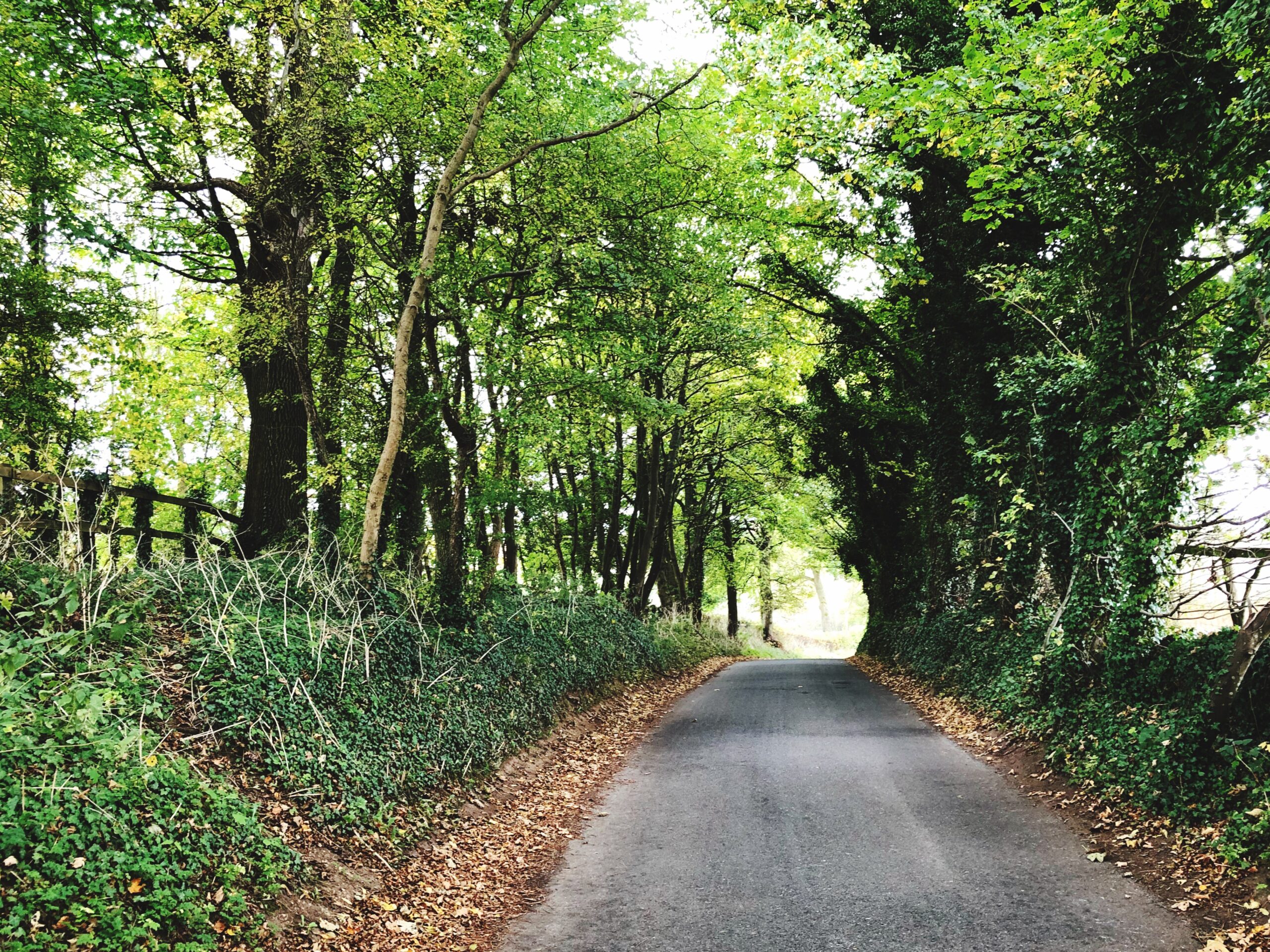 ランクル300系 納期遅延の「本当の理由」と今後の見通し【2025年版】