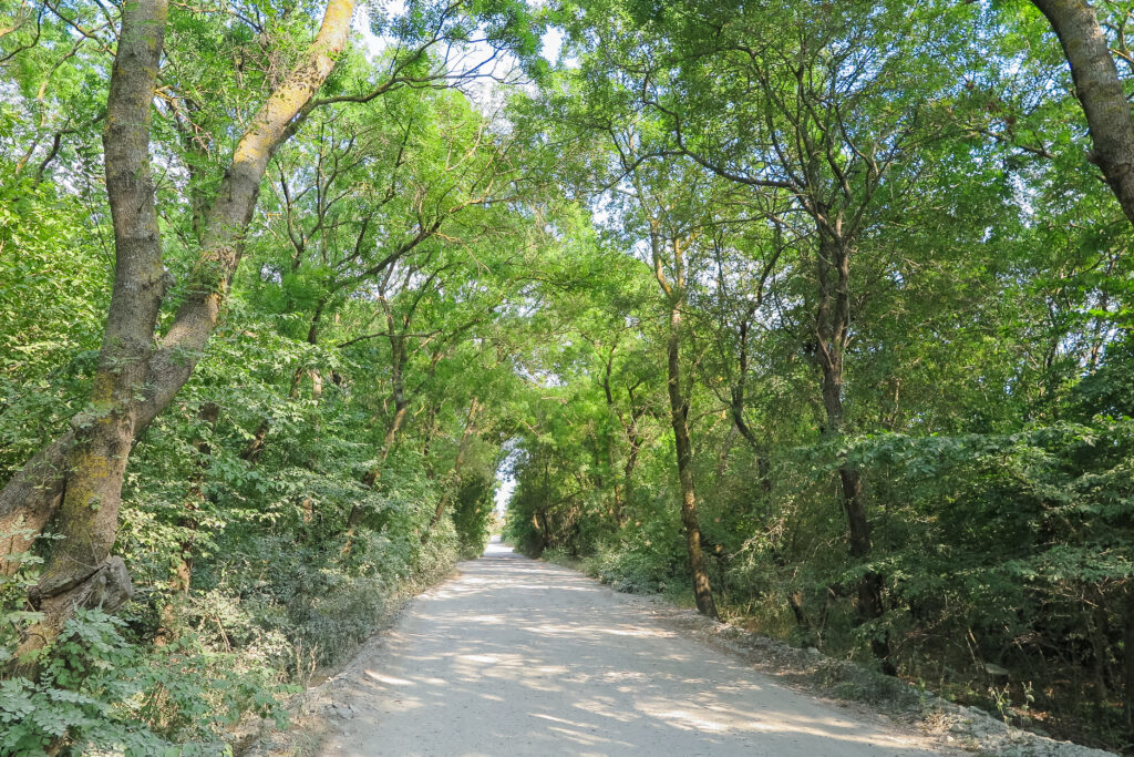 【ランクル200系車中泊】段差解消！フルフラット化マット＆ベッドキット