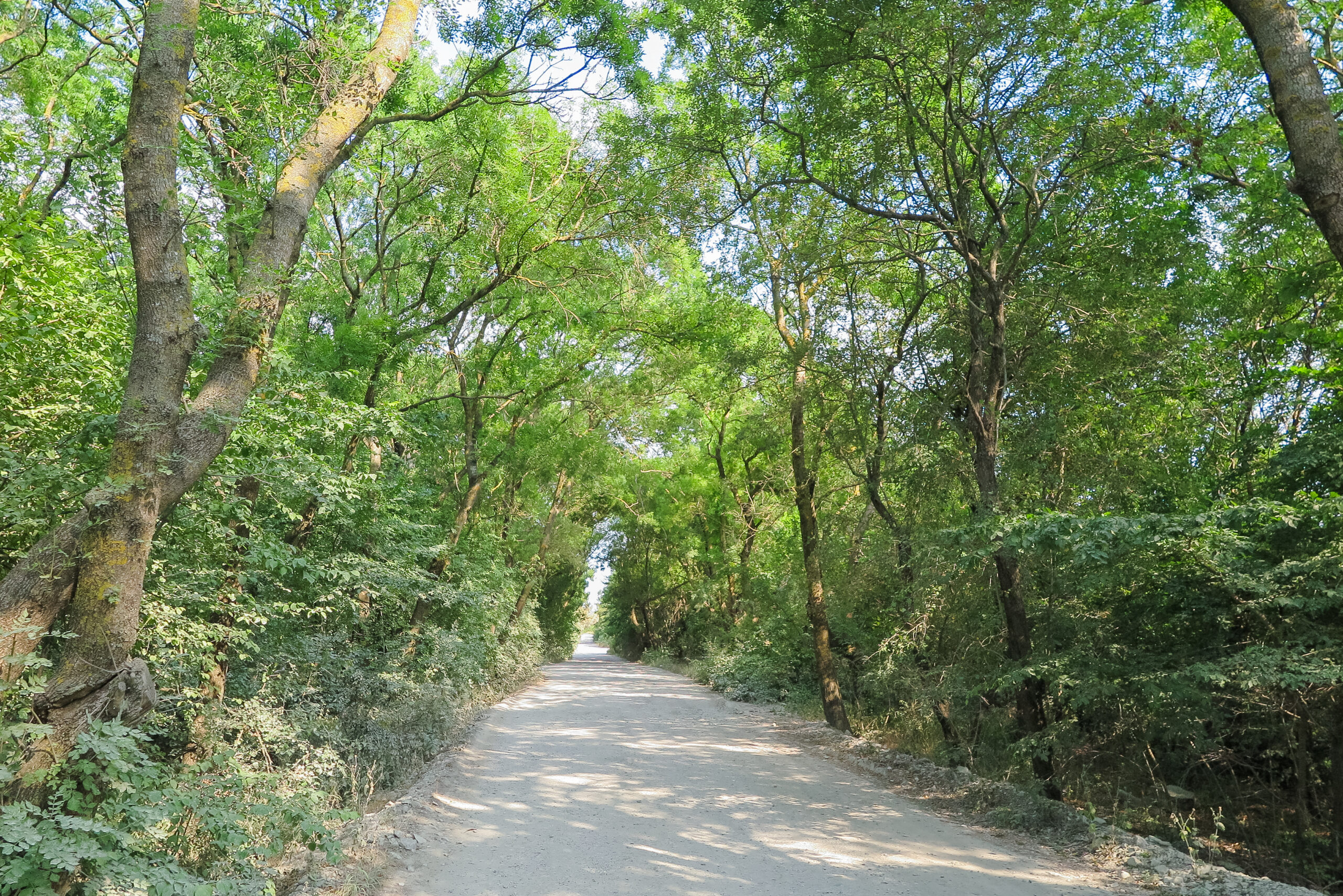 【ランクル200系車中泊】段差解消！フルフラット化マット＆ベッドキット