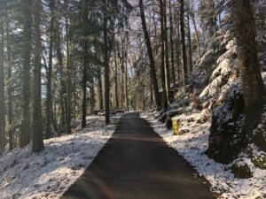 【2025最新】ランクル250納期はいつ？受注再開のXデーと「即納車」を掴む全戦略