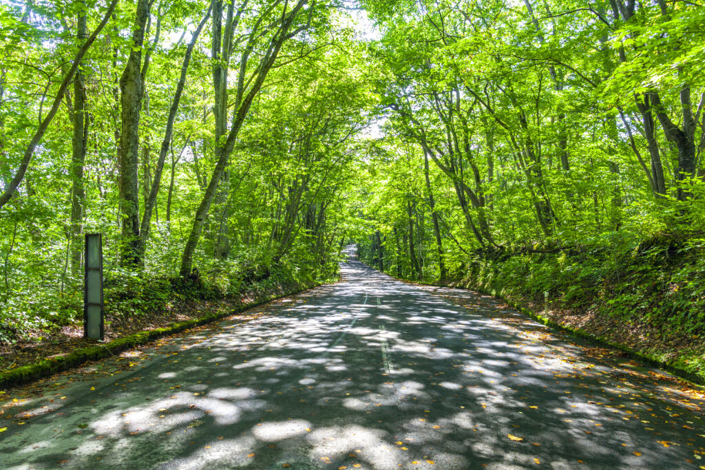 ランクル300系【カラー（色）】人気ランキング！リセールに有利なのは白か黒か？