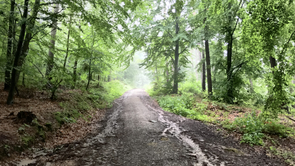 ランクル300系 乗り心地レビュー：200系から進化した？後部座席の快適性は？