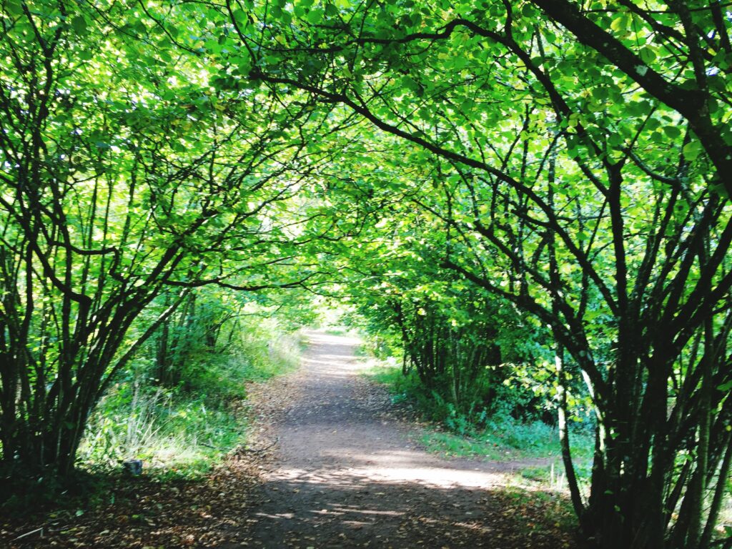 ランクル200系 盗難【後期でも危険】CANインベーダー対策と最強セキュリティ術