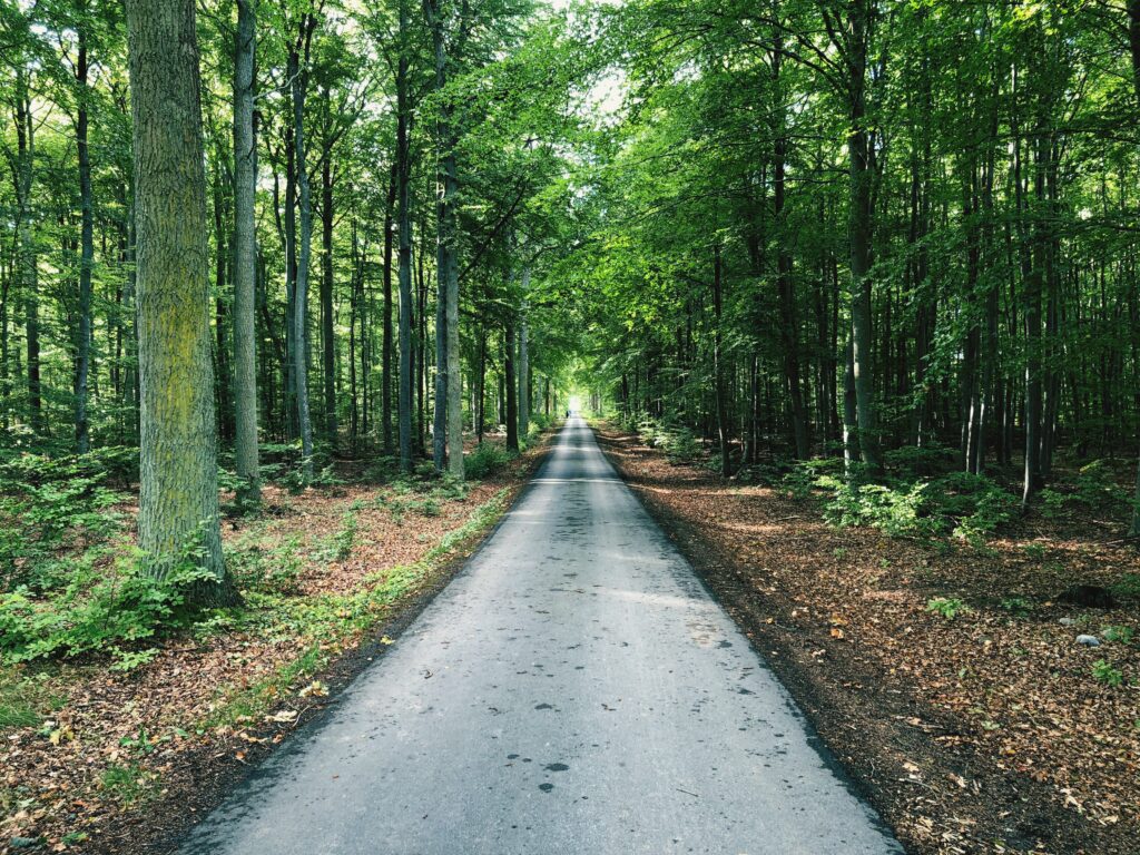 ランクル300系 純正ナビの使い勝手は？Apple CarPlayとT-Connectの評価