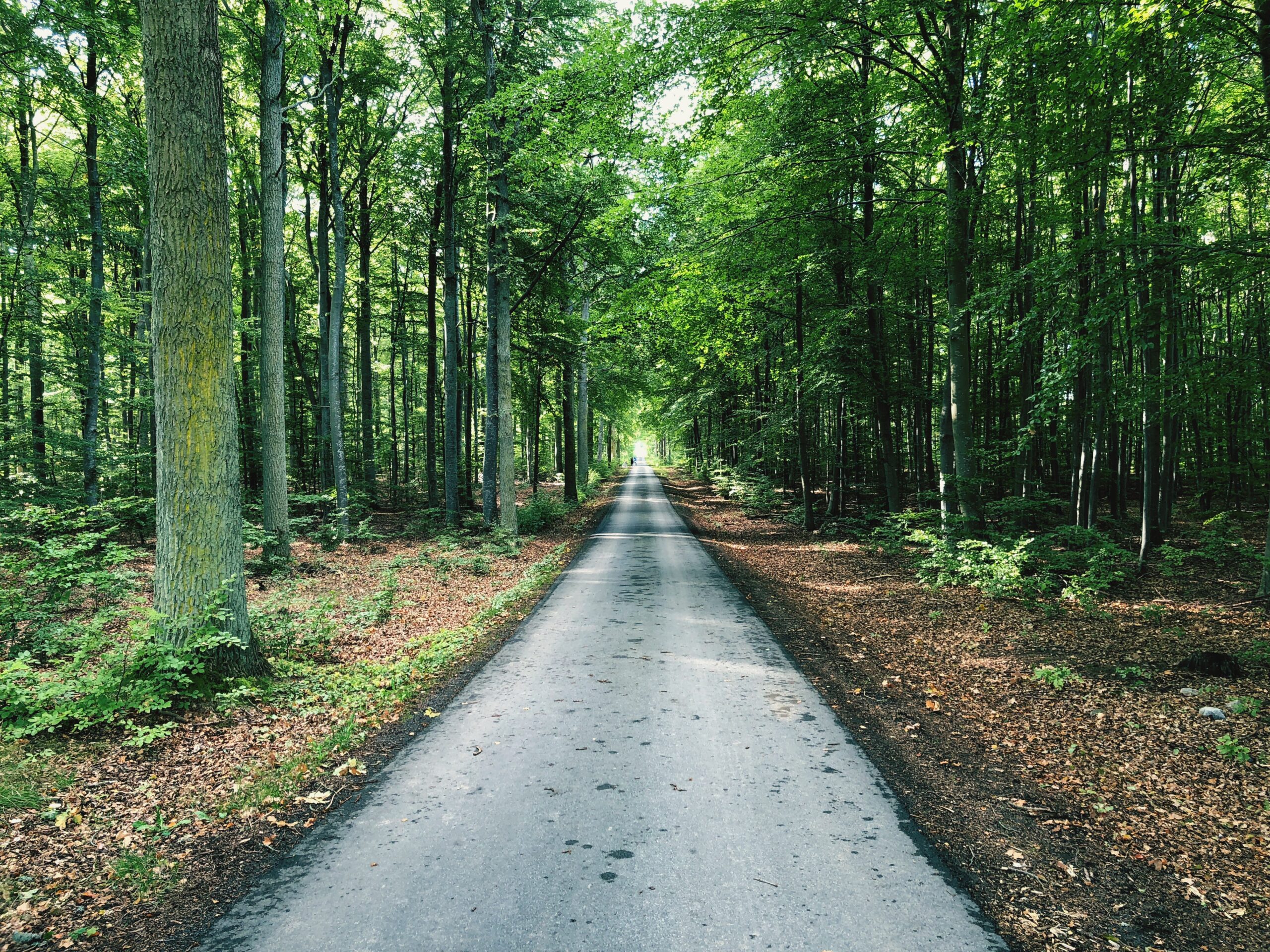 ランクル300系 純正ナビの使い勝手は？Apple CarPlayとT-Connectの評価