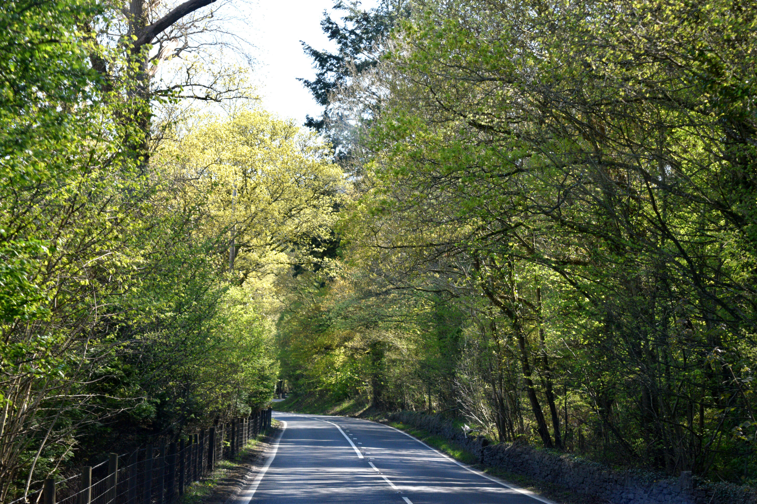 ランクル200系おすすめカスタム|グリル・マフラー・ホイールの正解パーツ