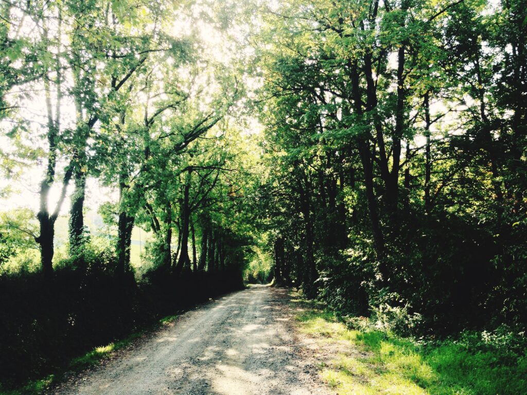 ランクル300系 タイヤサイズとおすすめ交換タイヤ（スタッドレス/オールテレーン）