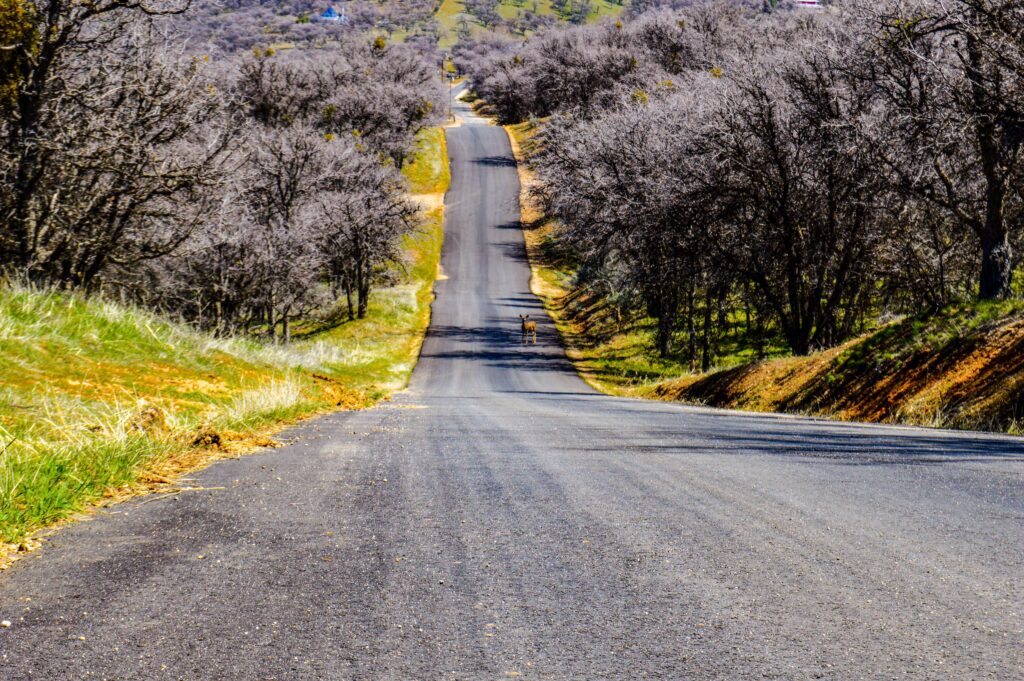 ランクル200系 タイヤサイズ（純正・カスタム）とおすすめタイヤ10選