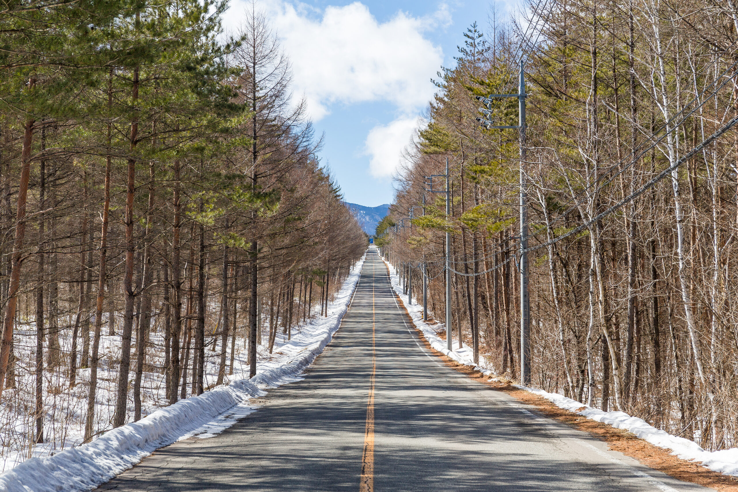 ランクル250盗難対策|純正は無力?最強IGLAと物理ロックの正解