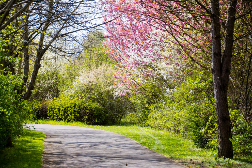 ランクル200系ZXの内装と装備！30万の修理費を防ぐ選び方