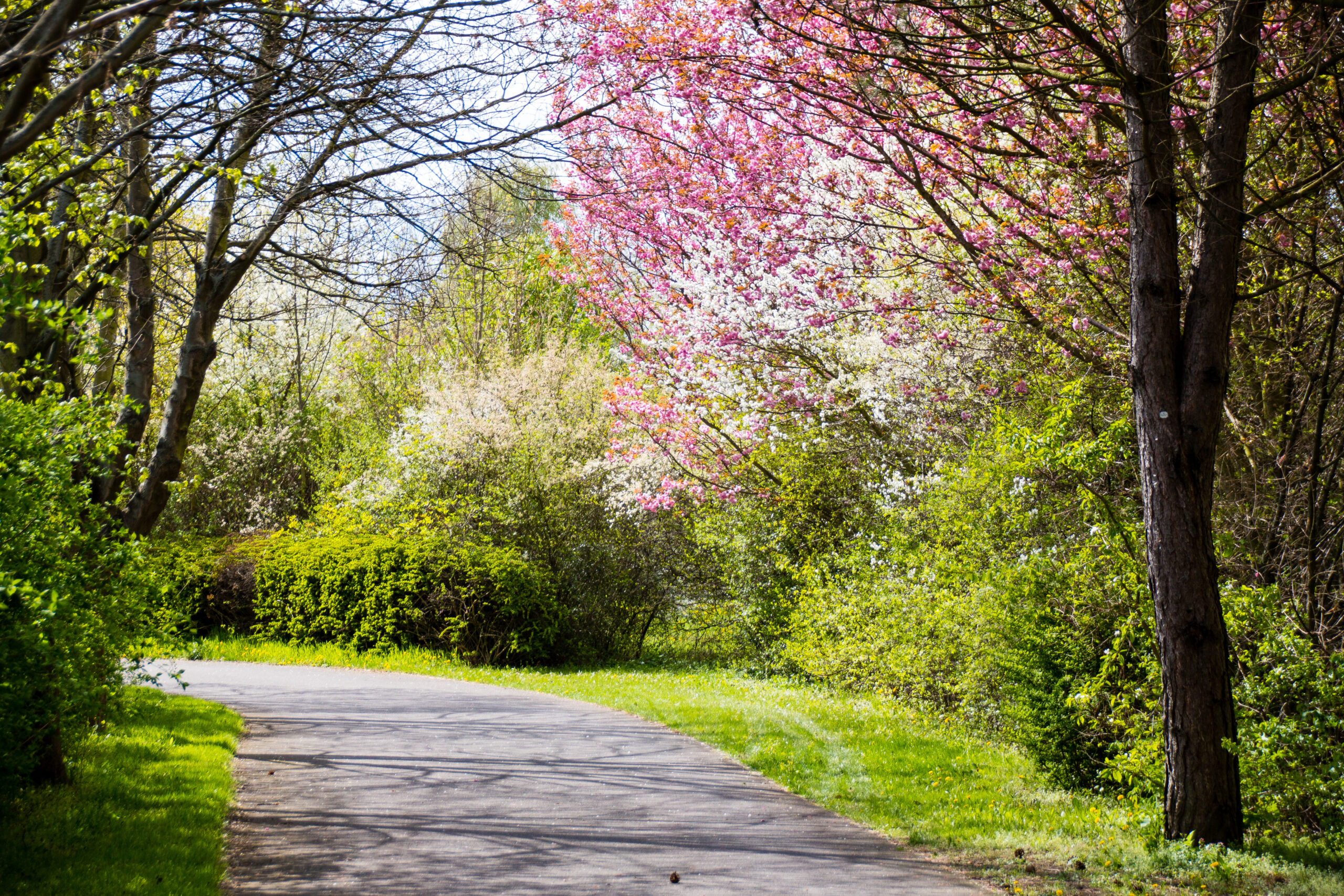 ランクル200系ZXの内装と装備!30万の修理費を防ぐ選び方