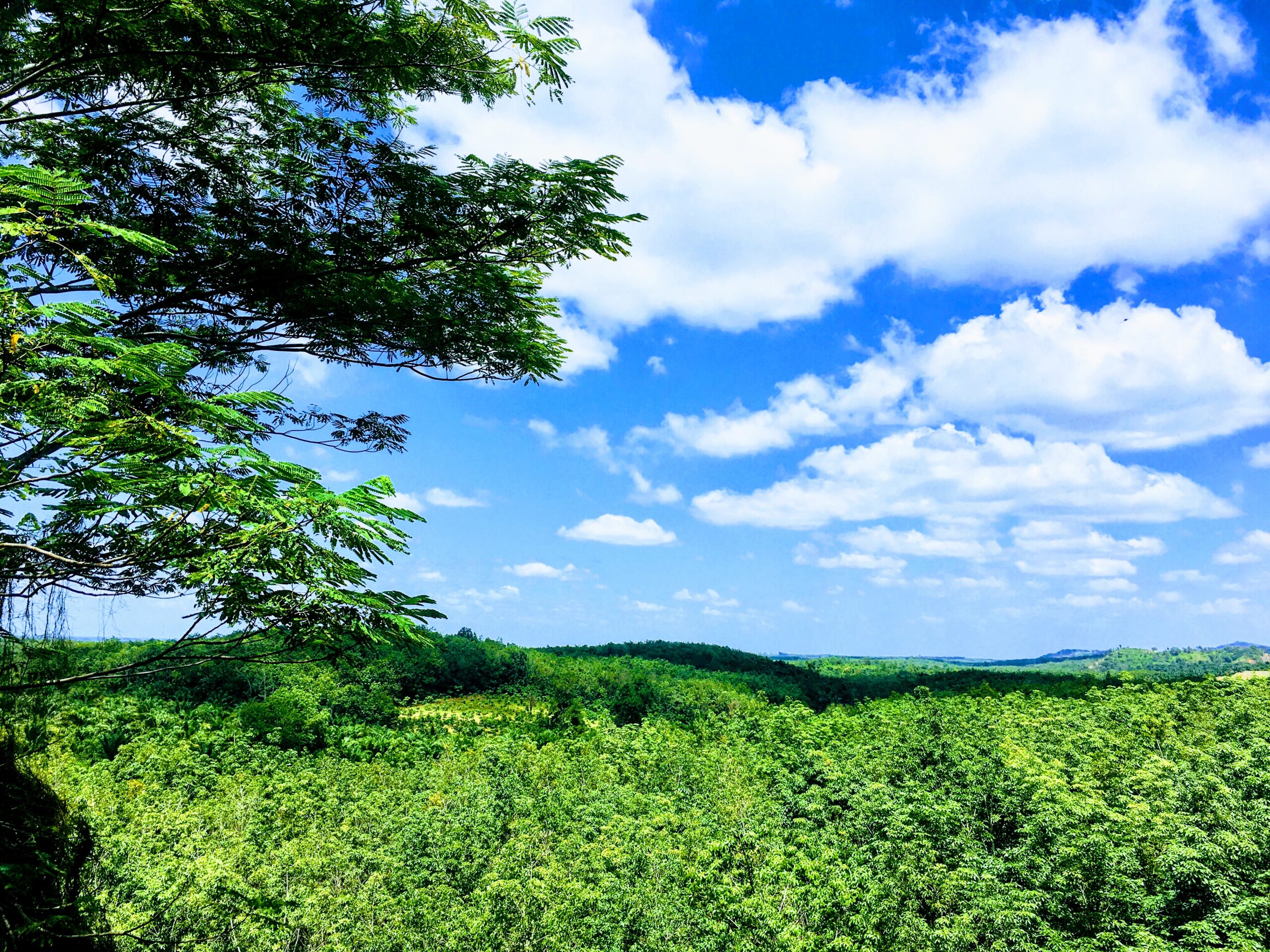 ランクル200系【リフトアップ】2インチ/3インチの方法と費用・構造変更の注意点