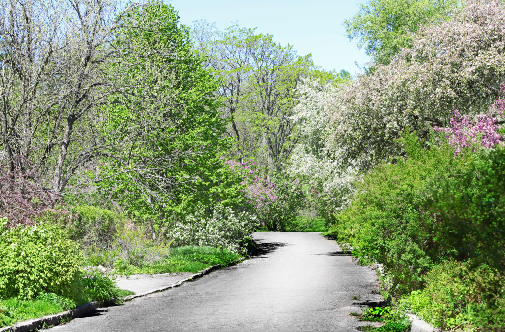 ランクル200系 エンジン違い！4.6と4.7どっち？維持費の結論